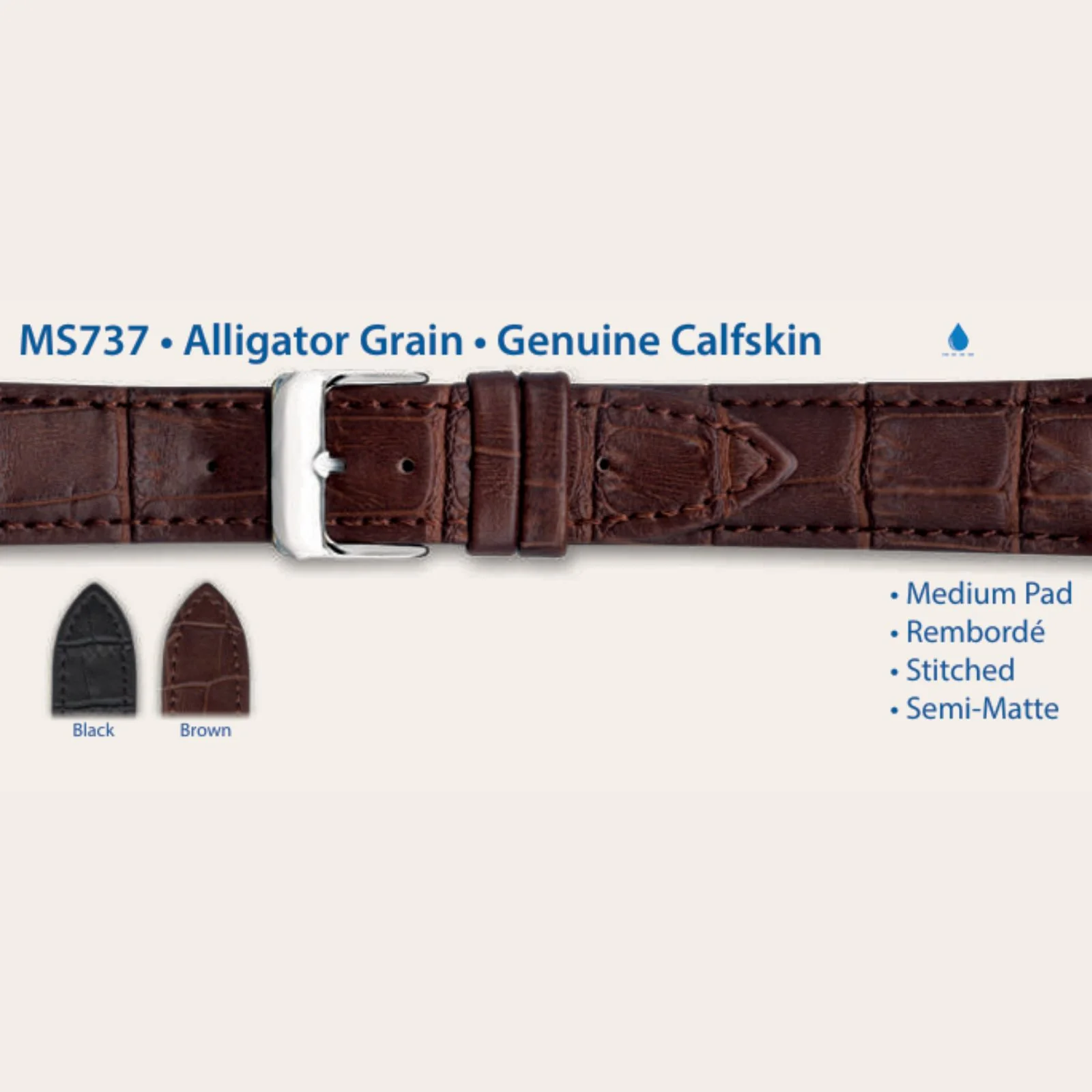 MS737 - Alligator Grain • Genuine Calfskin - Hadley Roma Watch Strap - Image 4